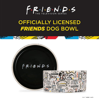 Birsppy Friends TV Show Doodle Ceramic Dog Food Bowl, 6 In, White and Black