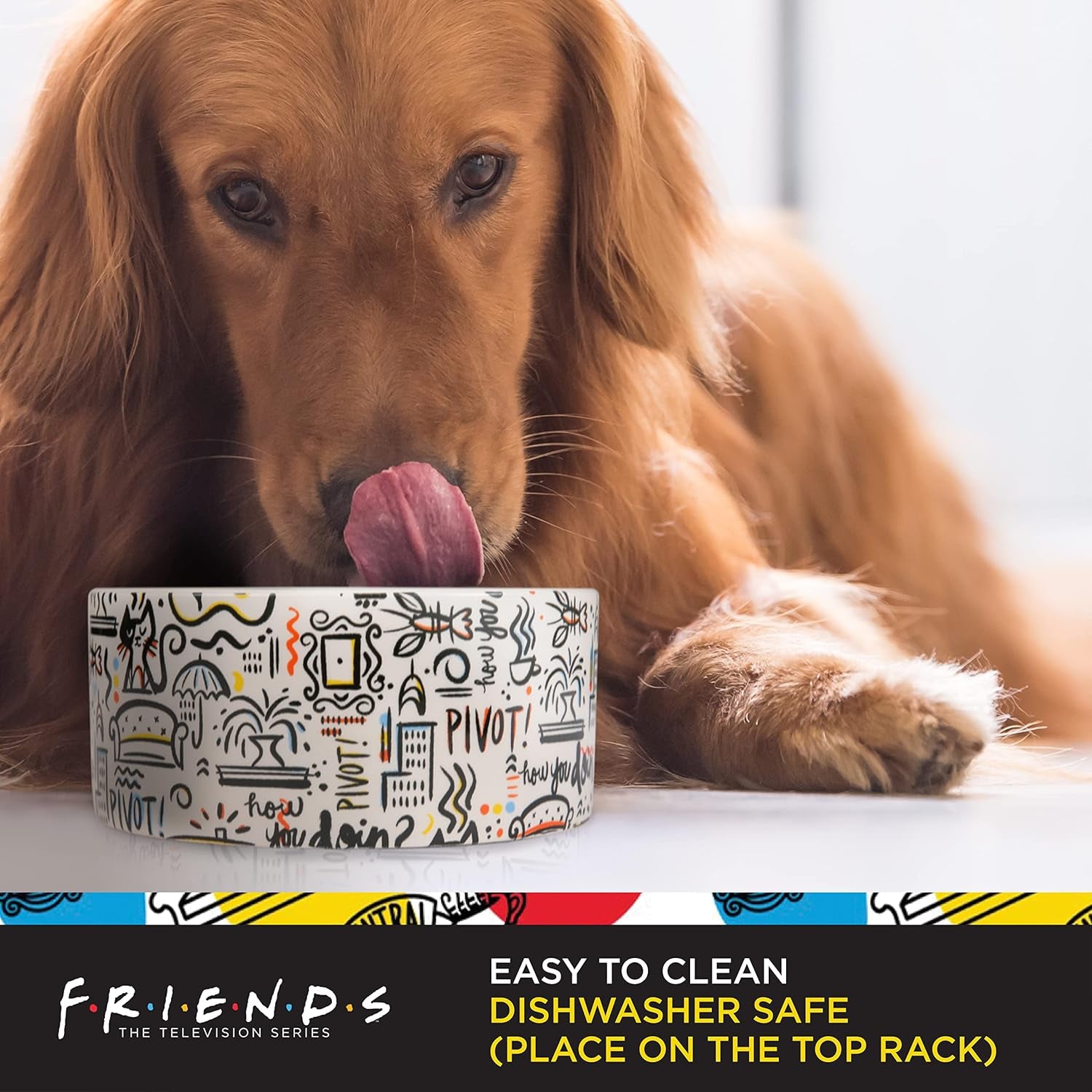 Birsppy Friends TV Show Doodle Ceramic Dog Food Bowl, 6 In, White and Black